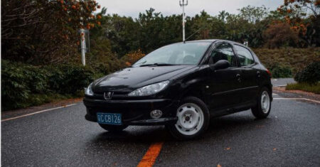 Peugeot 206: Enfim,Tudo que Você precisa Saber